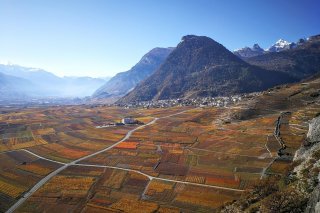 La structure du vignoble valaisan comme les techniques de production seront appelées à se modifier, aussi pour s'adapter aux changements climatiques